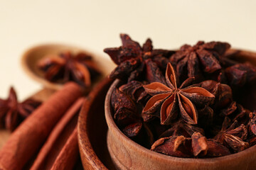 Bowl with aromatic star anise and cinnamon on color background, closeup