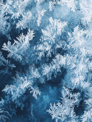 Frosted patterns on blue background create serene winter scene. intricate details of frost evoke sense of calm and beauty in nature design