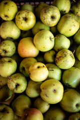 Close up of harvest fresh green and red apples wallpaper