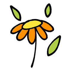 illustration of a sun flower