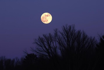 A supermoon that rises or sets during twilight creating a dramat