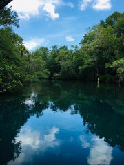 lake in the forest