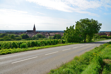 route de bergheim alsace france  / Bergheim Road, Alsace, France/ベルグハイム  道路　 アルザス　フランス © G-Van