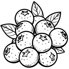 fresh organic blueberries