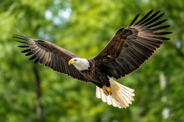 Obraz premium Americaâ€™s Alaskan wilderness, with towering glaciers and bald eagles soaring above icy waters