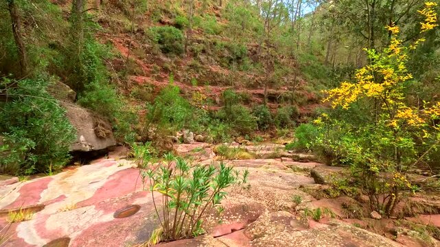 Hermosos barranco donde se sit&uacute;a la peque&ntilde;a fuente del piojo en cirat