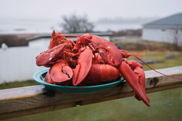 A Plate of Boiled Lobsters with a Blurry View of the Atlantic Ocean in the Background