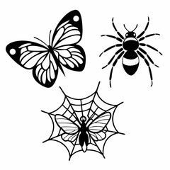 set of insects collections illustrations vector art isolated white background 