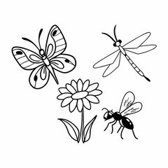 Fototapeta premium set of insects collections illustrations vector art isolated white background 