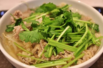 Vietnamese cuisine: pho bo (rice noodles with sliced beef and coriander)