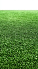 Vibrant green grass field outdoor landscape nature photography tranquil environment aerial view serenity and calmness