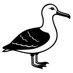 Albatross Birds Black Vector Silhouette, Vector outline, or Line art illustration isolated on a transparent background