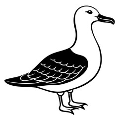 Albatross Birds Black Vector Silhouette, Vector outline, or Line art illustration isolated on a transparent background