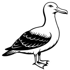 Albatross Birds Black Vector Silhouette, Vector outline, or Line art illustration isolated on a transparent background