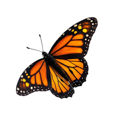 Naklejka premium Majestic Monarch Butterfly in Flight Vibrant Garden Setting Nature Photography Bright Colors Close-Up View Symbol of Transformation and Beauty