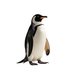 Obraz premium Penguin Swimming in Icy Waters Antarctica Wildlife Photography Cold Environment Close-Up View Nature Conservation Efforts for Awareness