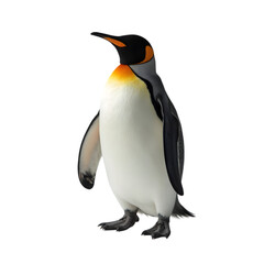 Fototapeta premium Dynamic Action of a Majestic Penguin in a Natural Habitat Wildlife Photography Coastal Environment Close-Up Perspective Nature and Wildlife Concept
