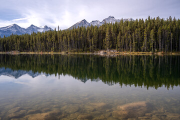 a river with reflection of forest and mountain
