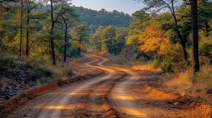 Obraz premium Autumnal Road Winding Through a Lush Forest