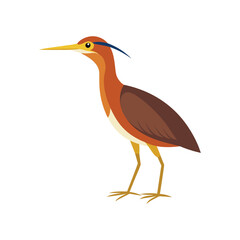 Bird design element vector illustration 