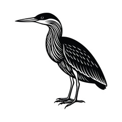 Fototapeta premium Bird silhouette element vector illustration