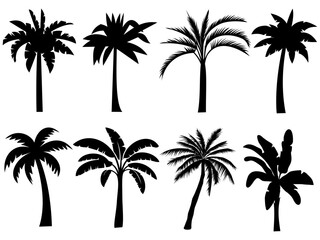 Collection of silhouettes of palm trees.