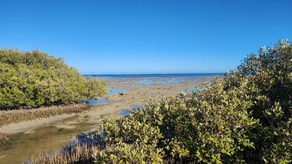 Mangrove Bay in Ningaloo, Cape Range National Park, Western Australia