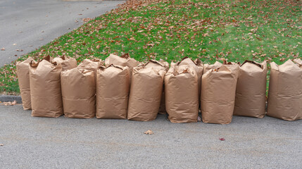 fallen leaves collected in recycle paper bag in autumn