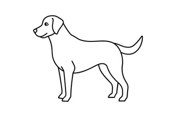 labrador retriever outline dog.