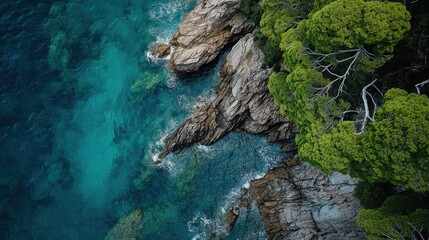 Fototapeta premium Aerial view of green pine trees and blue waters along a rugged coastline