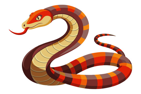 Big Snake isolated on transparent background.  python big snake, illustration of a snake, large snake