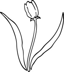 Naklejka premium hand drawn flower illustration.