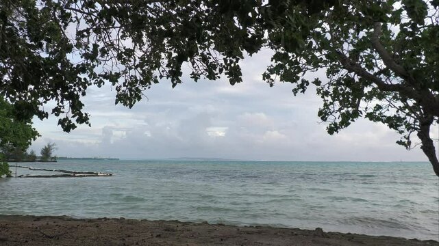 Fishing Base view framed by leaves from the trees, in Saipan, Northern Mariana Islands