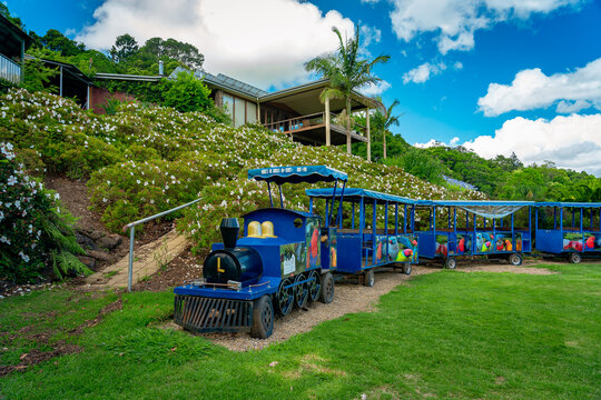 Maleny, QLD, Australia - Nov 17, 2024: Beautiful landscapes at Maleny Botanic Gardens