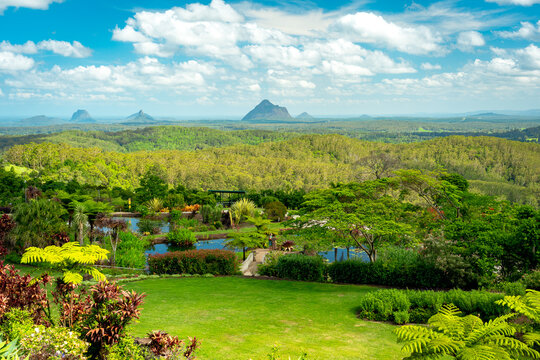 Maleny, QLD, Australia - Nov 17, 2024: Beautiful landscapes at Maleny Botanic Gardens