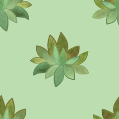 Succulents: seamless watercolor pattern on a white background for wrapping paper and print on fabric, home textiles. Home gardening, hobby.