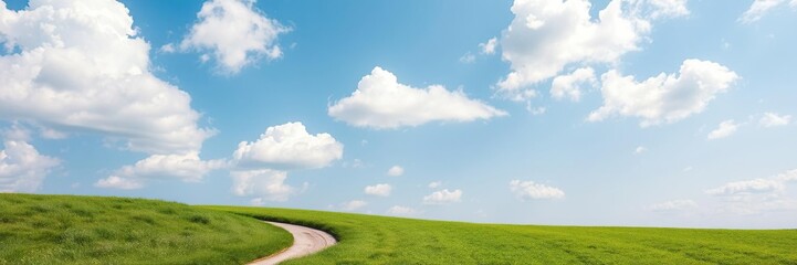A lush green meadow with a winding path leading through it under a clear blue sky with puffy white clouds gently floating by, lawn meadow, countryside walk