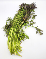 赤からし菜・カラシ菜・芥子菜／red mustard greens／붉은 겨자