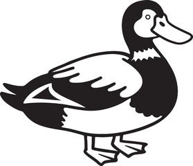 This is a beautiful illustration of a duck. It's a vector illustration with a transparent background.