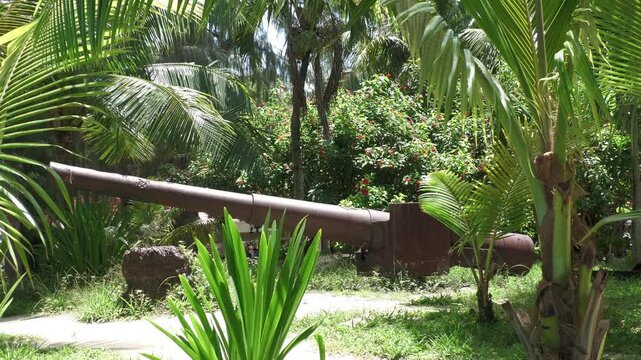 Steady footage of World War 11 Japanese cannon in Managaha Island, Saipan, Northern Mariana Islands.