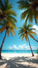 Palm trees on a beach in summer