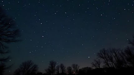 Fototapeta premium The night sky is strewn with stars