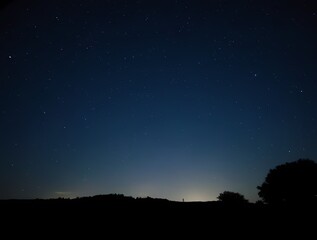 Naklejka premium The night sky is strewn with stars