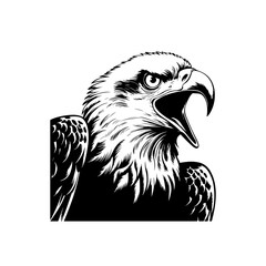 Eagle head vector illustration isolated on white background