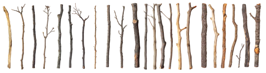 Fototapete Rund Collection of Dry Tree Branches and Twigs in Varied Textures and Colors - Isolated on Transparent Background © Kanishka