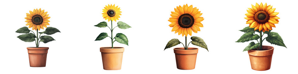 Obraz premium Sunflower In Earthenware Pot Watercolor Painting Of Vibrant Floral Nature