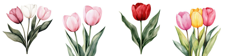 Naklejka premium Vibrant Watercolor Tulips in Full Bloom Showcasing Nature s Beauty