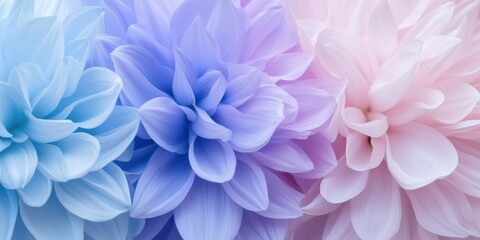 Delicate Blooming Flowers Displaying Soft Shades of Blue, Pink, and Lavender in a Stunning Floral Arrangement for Nature and Beauty Imagery