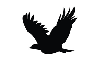 Flying Eagle Silhouette Design  And Vector Illustration. 