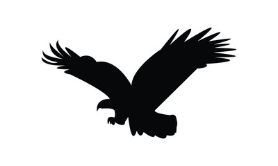 Flying Eagle Silhouette Design  And Vector Illustration. 